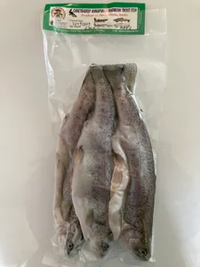 Rainbow Trout Fish 630 g